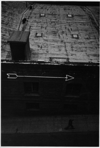 Robert Frank